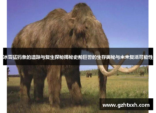 冰雪猛犸象的遗踪与复生探秘揭秘史前巨兽的生存奥秘与未来复活可能性